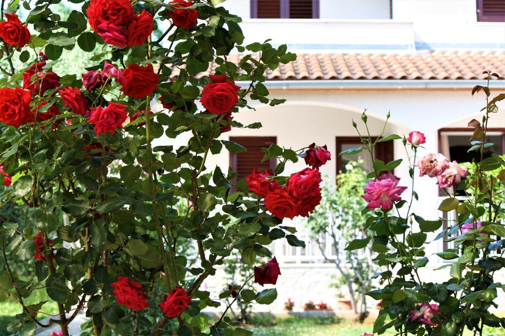 Holiday Home Magnolia Tar-Vabriga Bagian luar foto
